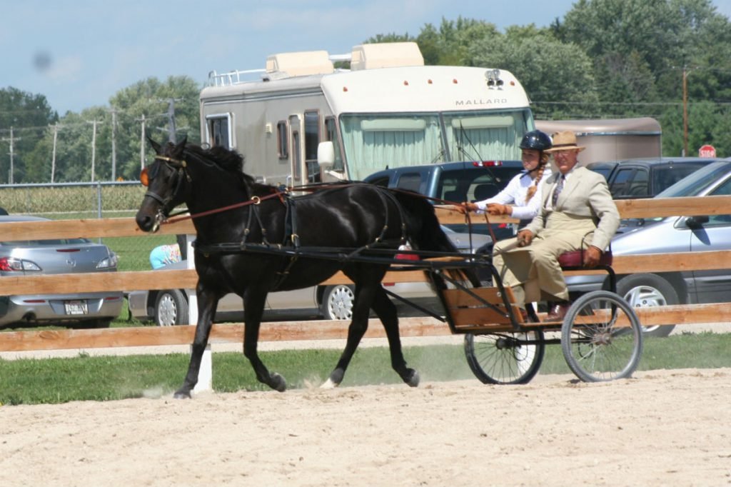 Horse Training Rocking L Acres